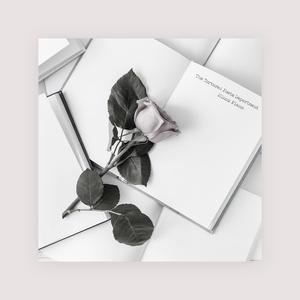 欧美老妇又粗又长
